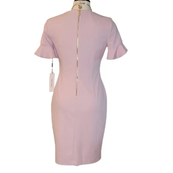 Calvin Klein Jewel Neck Flutter Sleeves Fitted Shift Dress Size 8 Dusty Pink NWT - Picture 4 of 13